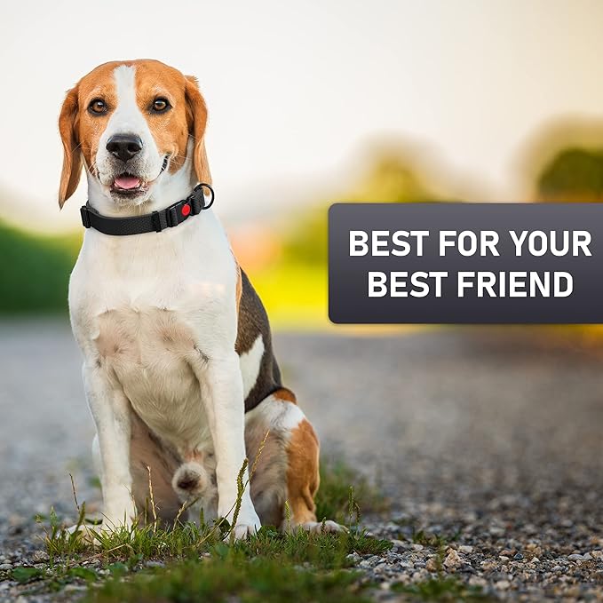 Adjustable Dog Collar with QR Code Dog Tag ID Attached - Made in USA - Honeycomb Waterproof Heavy