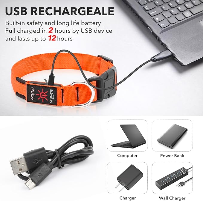 Illumifun Light Up Dog Collar, USB Rechargeable LED Dog Collar, Adjustable Lighted Safety Collar