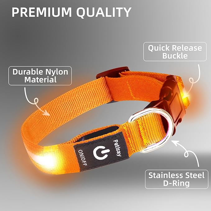 Super Bright LED Dog Collar - Fully Waterproof & Adjustable Glow Collar - USB-C Rechargeable for