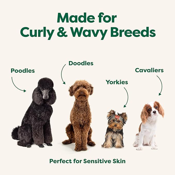 Earth Rated 3-in-1 Detangling Dog Shampoo and Conditioner, Deodorizing Oatmeal Shampoos for Dogs