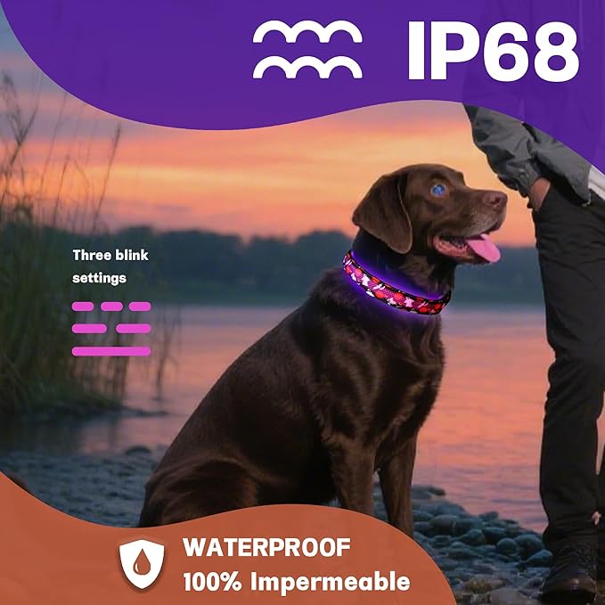 DOGWONG LED Dog Collar - Halloween Light up Dog Collars - Rechargeable Waterproof - Fall Lighted