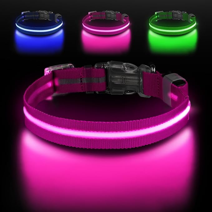 Light Up Dog Collar, Adjustable USB Rechargeable Glow in Dark Dog Collar ，Waterproof Dog Collars