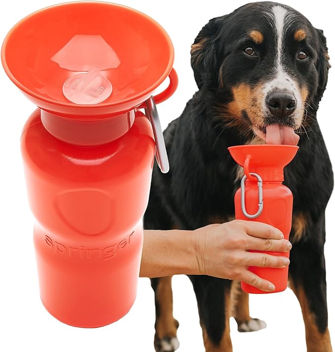 Springer Dog Water Bottle | Portable Travel Water Bottle Dispenser for Dogs | Dog Gift Seen on