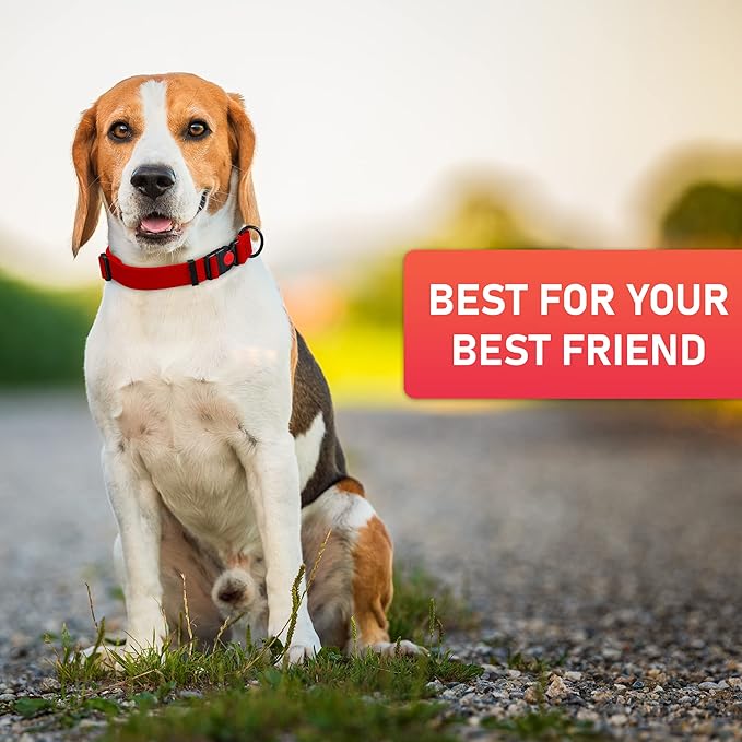 Adjustable Dog Collar with QR Code Dog Tag ID Attached - Made in USA - Honeycomb Waterproof Heavy