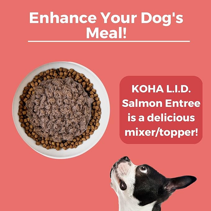 KOHA Limited Ingredient Diet Salmon Entrée for Dogs - Dog Food Toppers for Picky Eaters - Sensitive