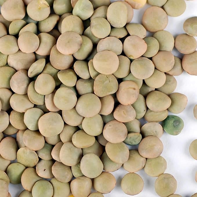 Organic Dried Green Lentil Sprouting Seed: 8 Oz - Dry Lentils for Planting Garden Seeds, Soup