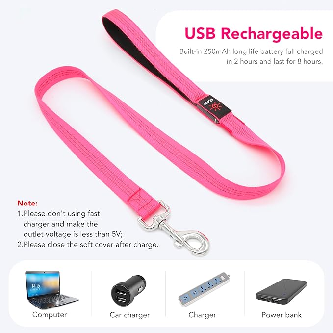 Colaseeme Light Up Dog Leash, LED Pet Leashes USB Rechargeable, Glow Safety Dogs Lights at Night