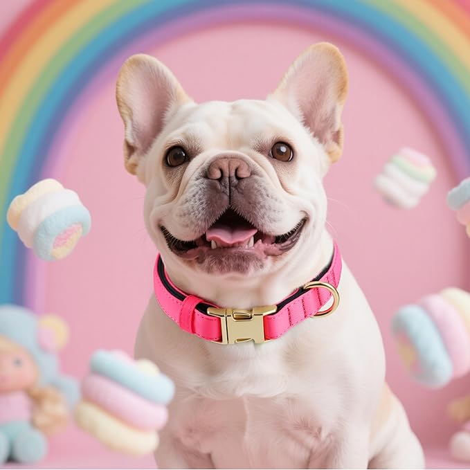 Didog Soft Padded Dog Collar for Large Dogs, Colorful and Durable Pet Collar with Quick Release
