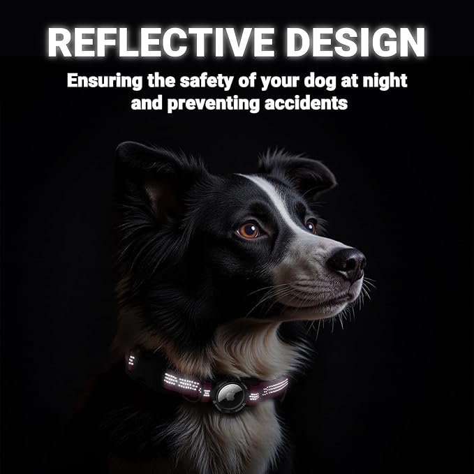 AirTag Dog Collar and Leash, IP68 Waterproof Integrated with Reflective, Ultra-Durable, Comfortable