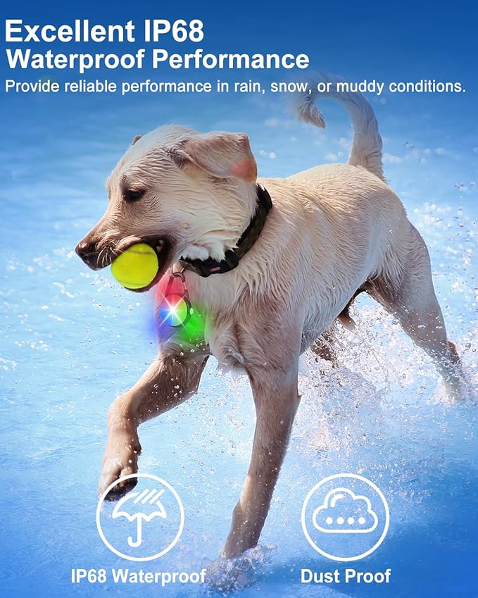 2 Pack Dog Collar Light, Rechargeable Dog Lights for Night Walking Clip On, 4 Modes Waterproof LED