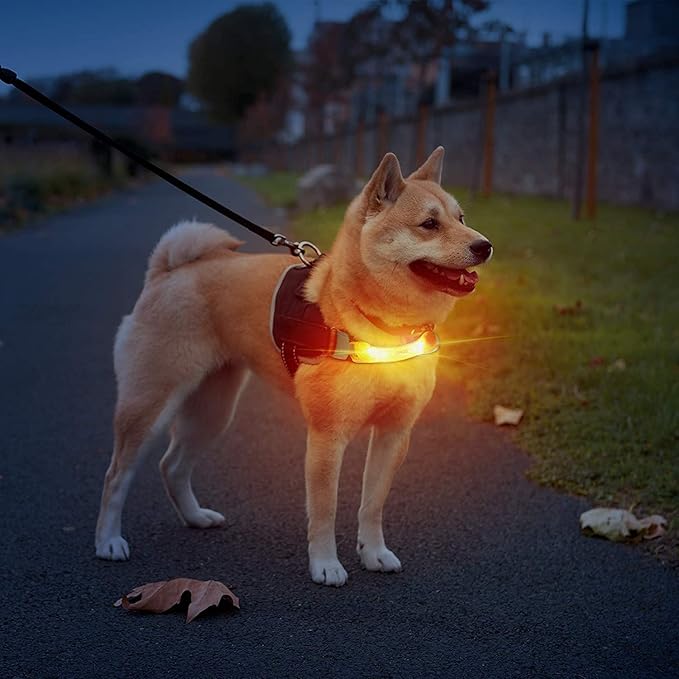LaRoo Light Up Dog Collar with Nylon Stickers, Universal Glowing Collar Accessories for Leash