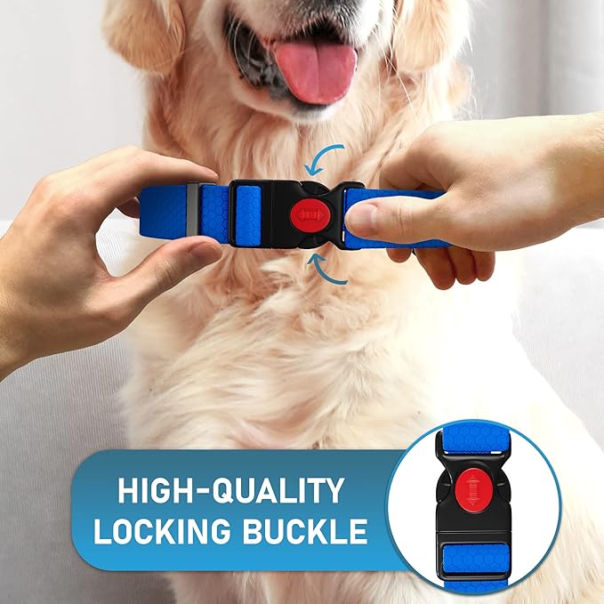 Adjustable Dog Collar with QR Code Dog Tag ID Attached - Made in USA - Honeycomb Waterproof Heavy