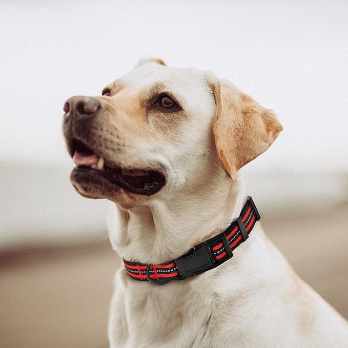 Mile High Life Reflective Dog Collar | Nylon Pet Collars wiith Buckle | Light Weight Puppy Collars