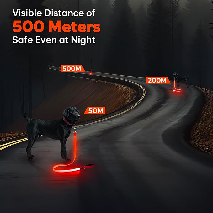 LED Dog Leash, 4 Ft Light Up, USB Rechargeable, Waterproof, Nylon Reflective with Padded Handle