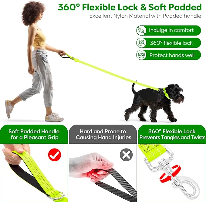 LED Dog Leash, Light Up Dog Leash 4 Ft Fully Illuminated USB Rechargeable Waterproof, Nylon