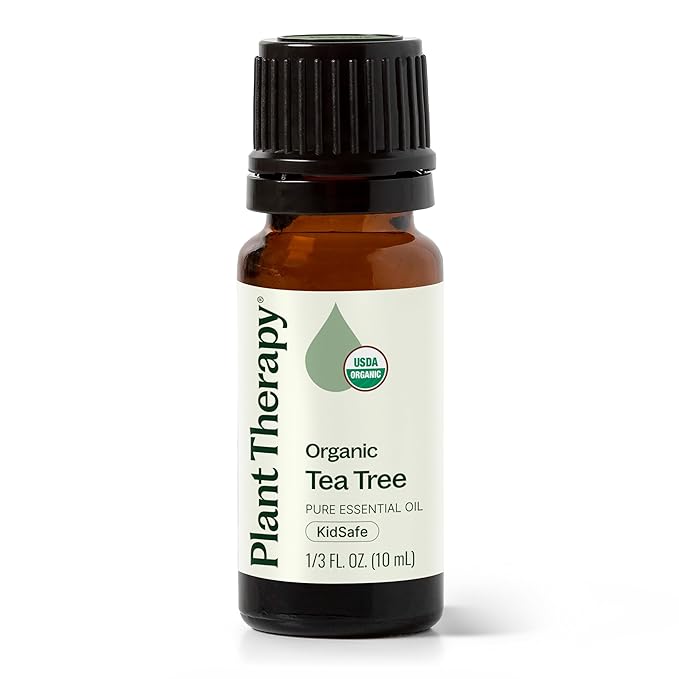 Plant Therapy Organic Tea Tree Oil (Melaleuca) 100% Pure, USDA Certified Organic, Undiluted