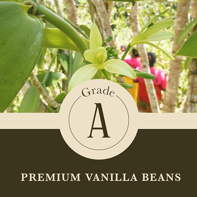 16 oz (1 lb) Organic Madagascar Whole Vanilla Beans, Grade A Vanilla Pods, Premium Vanilla Beans