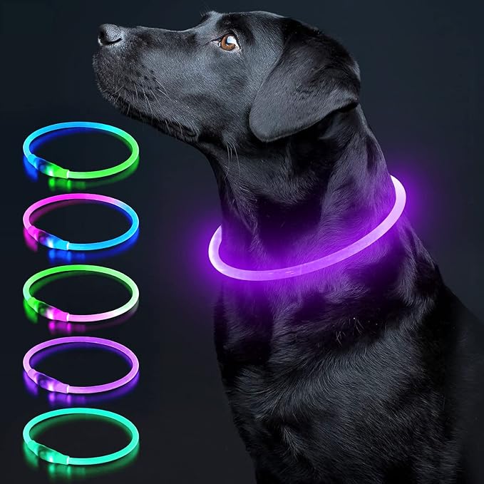 Colaseeme LED Dog Collar Light Up Dog Collars 1 Count USB Rechargeable TPU Glow Safety Basic Dog