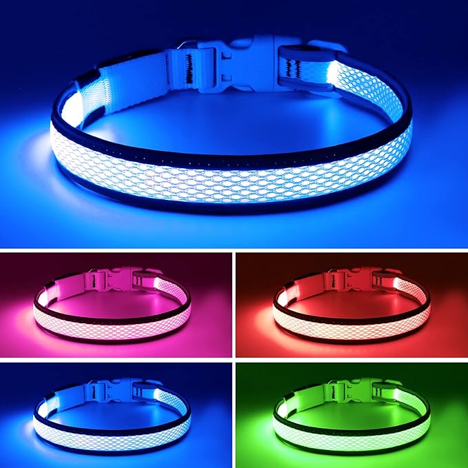 Flashseen LED Dog Collar, Light Up Dog Collar USB Rechargeable, Brightest Dog Lights for Night