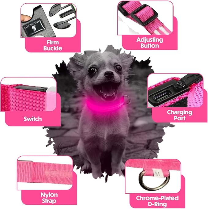 Light Up Dog Collar ??Reflective, Adjustable & Rechargeable Electronic Glow Pet Collars ??Bright