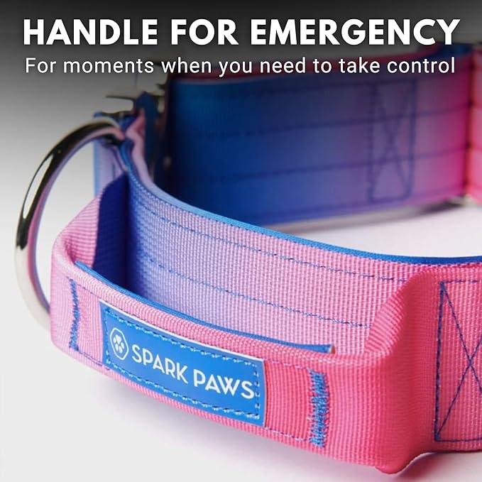 Tactical Dog Collar with Handle - Premium Quality Collar, Robust and Durable Design for Large