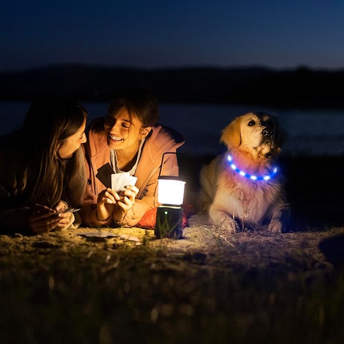 HIGO Light Up Dog Collar, Lightweight LED Dog Collar for Dogs Cats, USB Rechargeable LED Dog