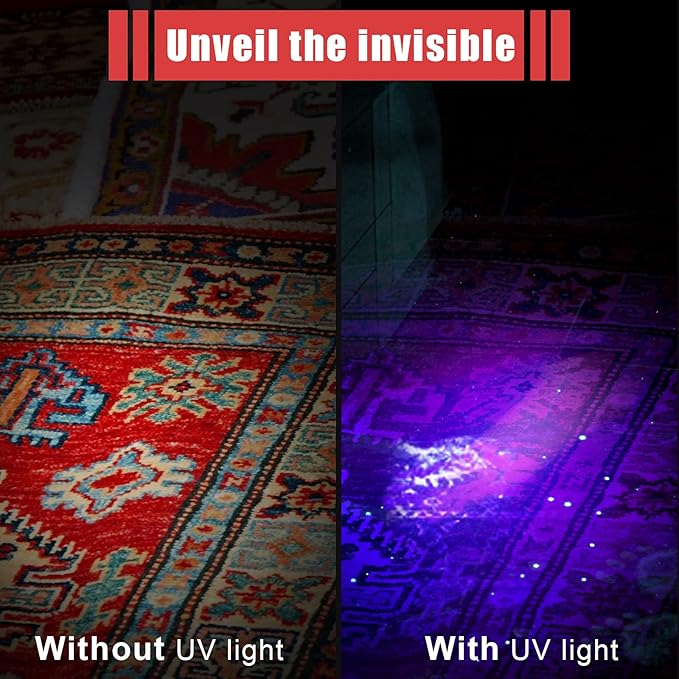 Honoson 2 Pieces UV Black Light Flashlight Small Blacklight Flashlights Pen Lights for Leak, Pet