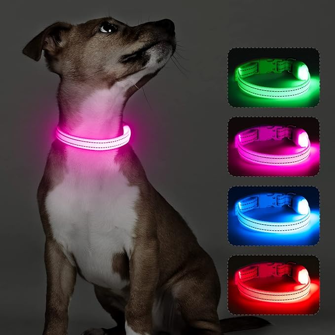 Light Up Dog Collar- Rechargeable Puppy Collars Glow in The Dark LED Dog Collar for Night Walking