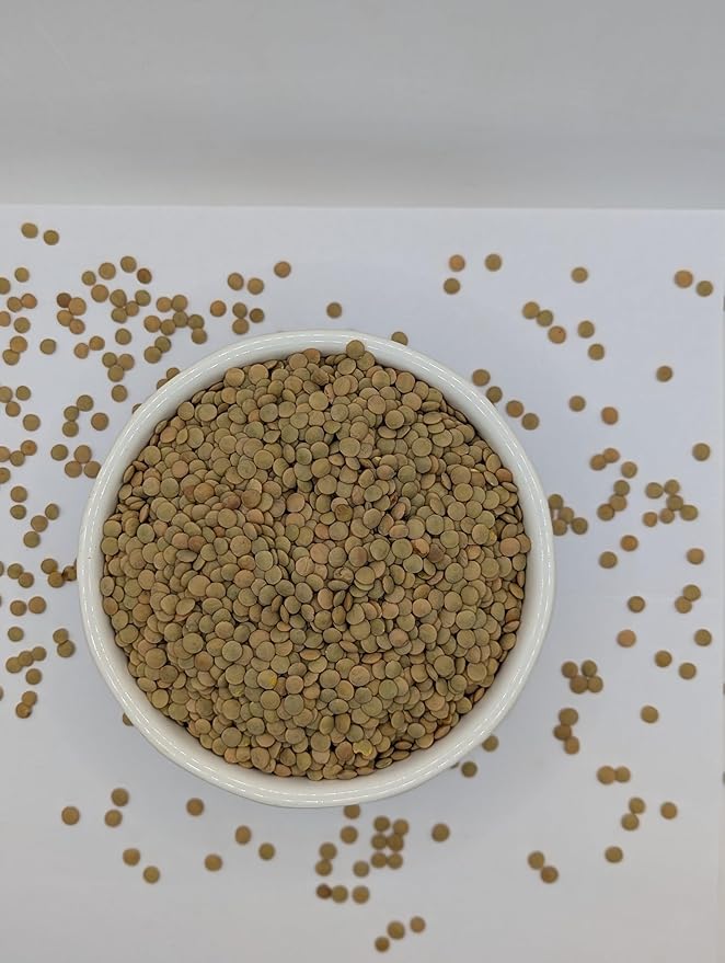 High Plains Richlea Lentils | 10 Pound Bag | Farm-Fresh | Non-GMO Verified | High Protein & Fiber