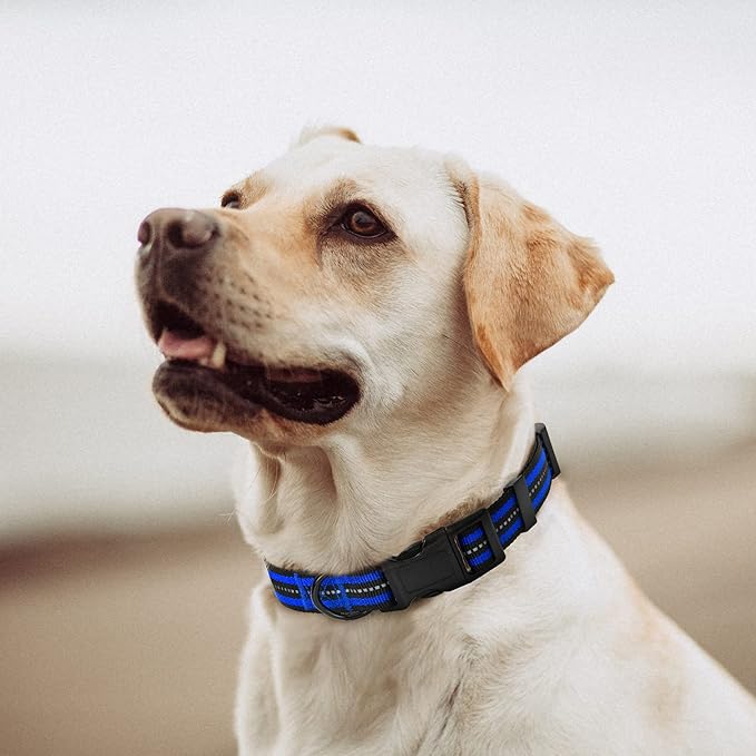 Mile High Life Reflective Dog Collar | Nylon Pet Collars wiith Buckle | Light Weight Puppy Collars