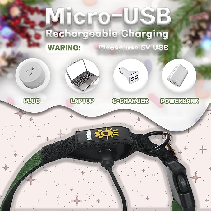 DOGWONG LED Dog Collar - Heavy Duty Light up Collars - Rechargeable Waterproof - Lighted Dog Collar