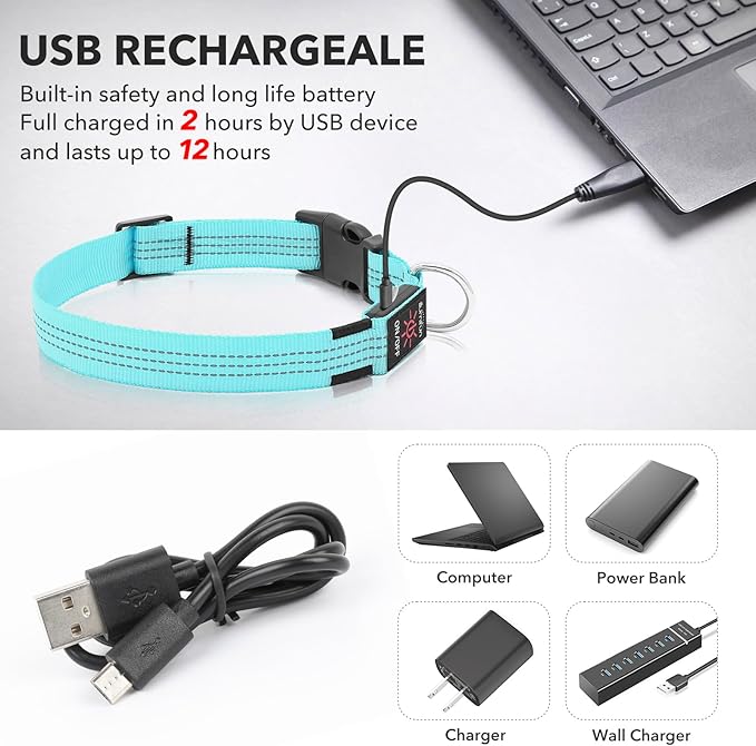 Illumifun Light Up Dog Collar, USB Rechargeable LED Dog Collar, Adjustable Reflective Lighted Pet