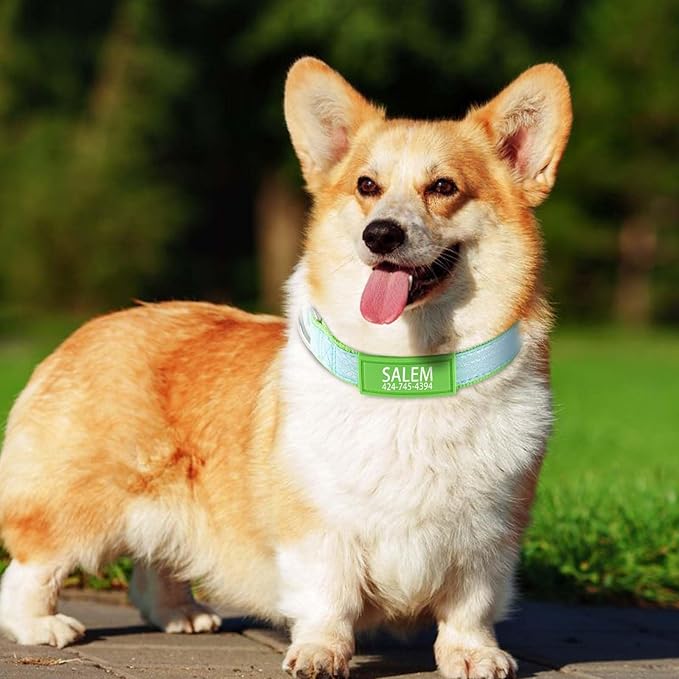 Personalized Dog Collars for Small & Large Dogs with Custom Name and Phone Numbers, Glow in The