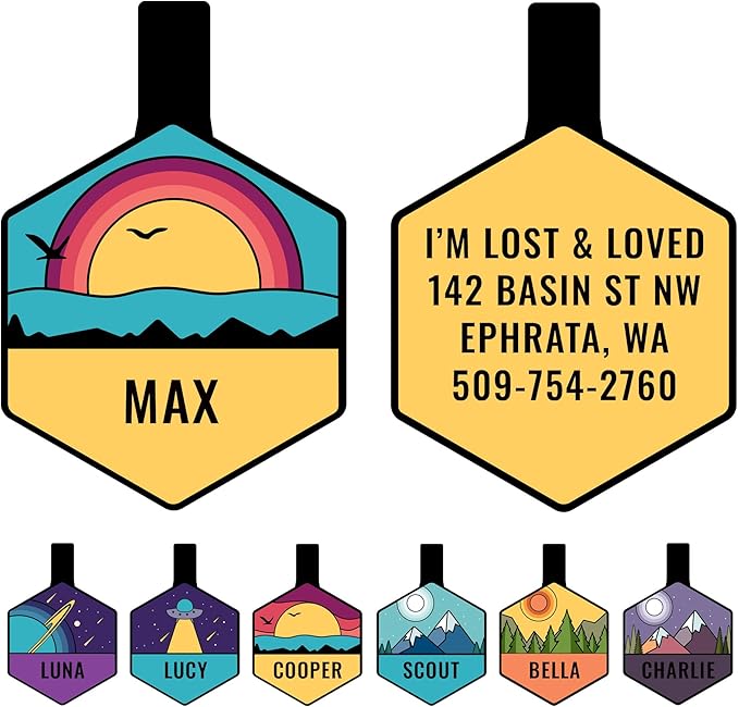 GoTags Silent Dog Tag, Personalized Engraved Hexagon Silicone Dog and Cat Name Pet ID Tags