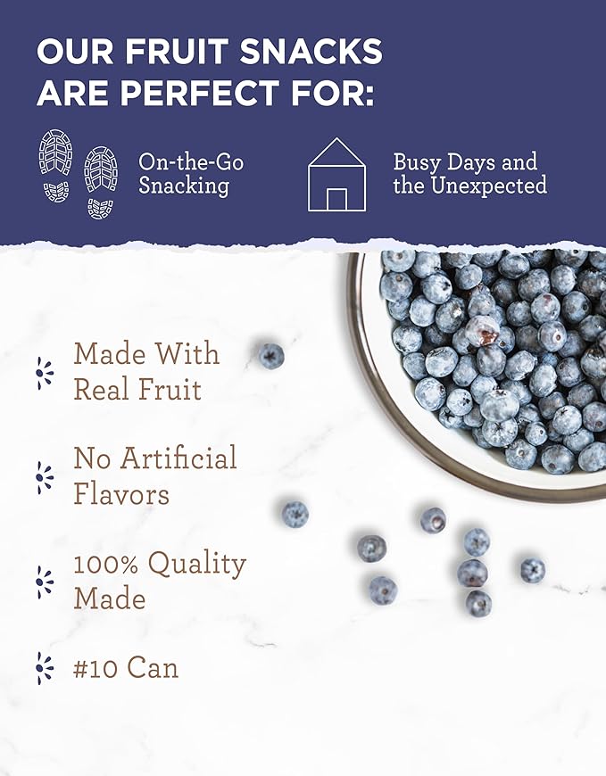 READYWISE - Simple Kitchen Freeze Dried Whole Blueberries, 28 Servings, Vegan, Gluten Free, Fruit