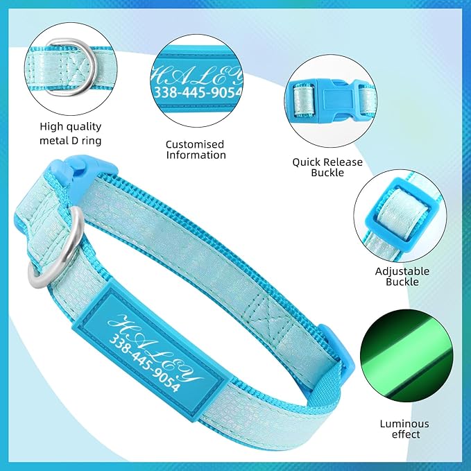 Personalized Dog Collars for Small & Large Dogs with Custom Name and Phone Numbers, Glow in The
