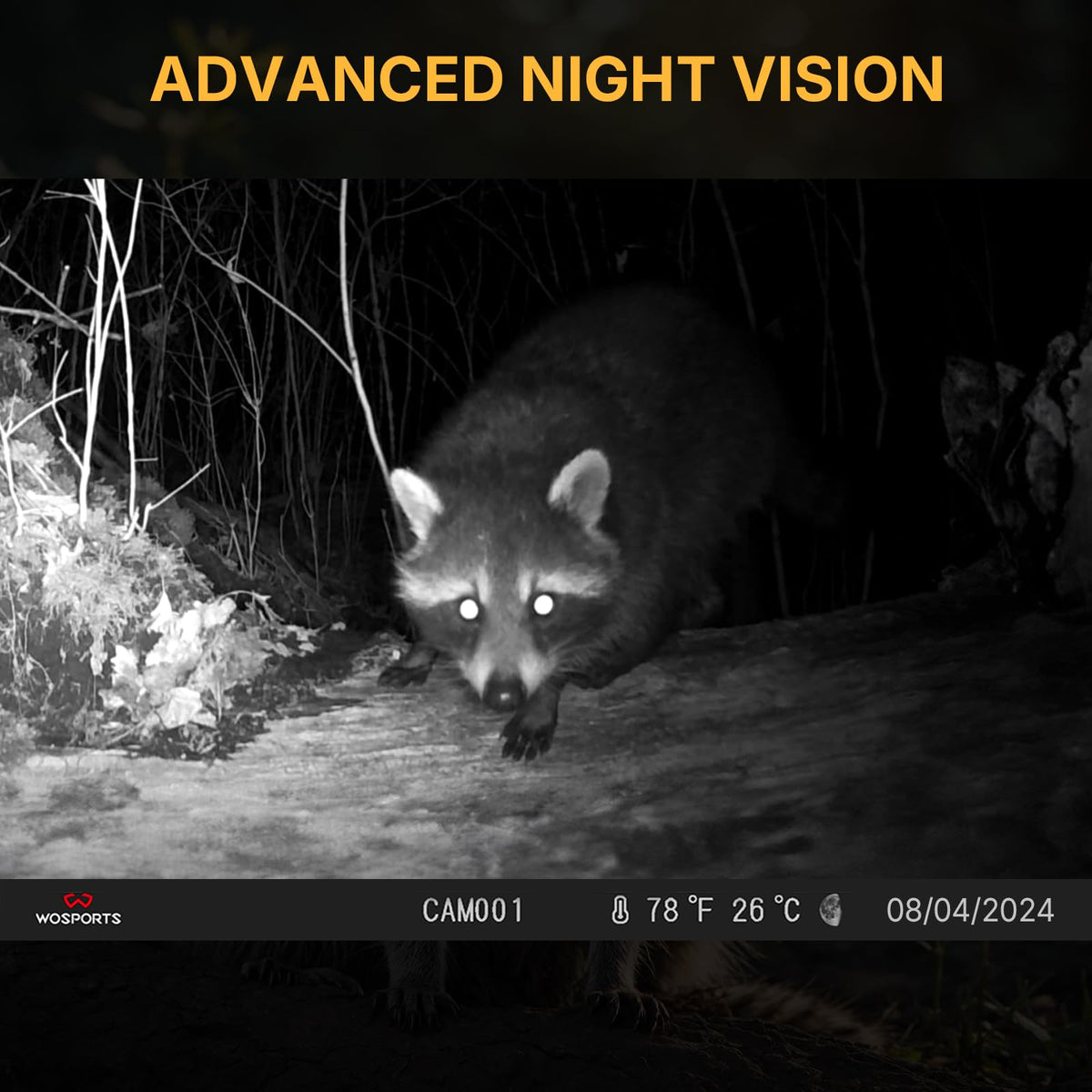WOSPORTS Trail Camera - 24MP, 1080P, Mini, Waterproof, Fast Trigger - product view 4