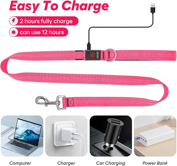 4 Ft Led Dog Leash, Rechargeable Light Up Dog Leash Waterproof, Safety Glow in The Dark Dog Leash