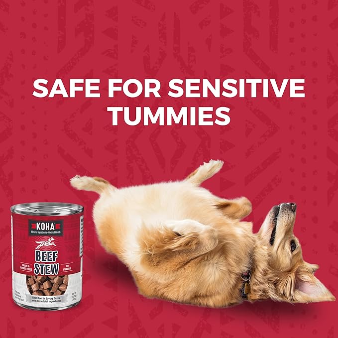KOHA Minimal Ingredient Beef Stew for Dogs, High Protein Limited Ingredient Dog Food, 12.7oz Cans