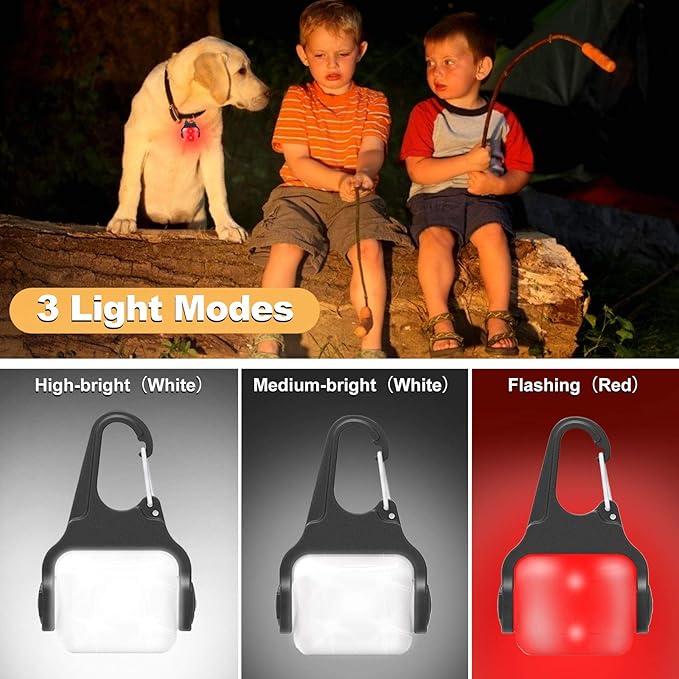 Dog Lights for Night Walking, Clip on Dog Collar Light - 3 Modes, USB-C Rechargeable, IP65