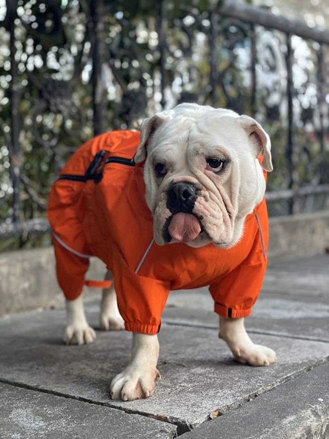 Dogs Waterproof Jacket, Lightweight Waterproof Jacket Reflective Safety Dog Raincoat Windproof