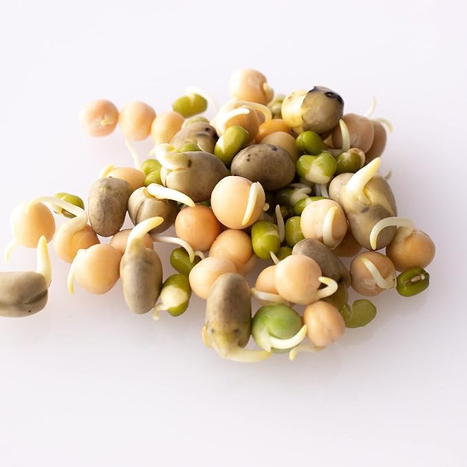 Organic Sprouting Seeds - Handy Pantry Sweet Protein Mix 4 oz. - Fava Bean, Mung Bean, & Yellow Pea