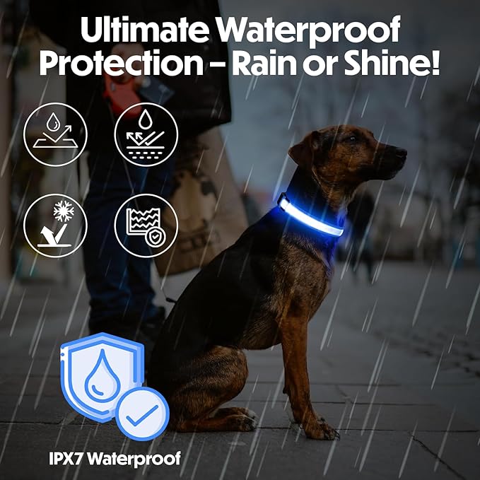 Light Up Dog Collar ??Reflective, Adjustable & Rechargeable Electronic Glow Pet Collars ??Bright