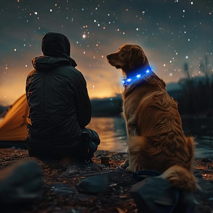 HIGO Light Up Dog Collar, Lightweight LED Dog Collar for Dogs Cats, USB Rechargeable LED Dog