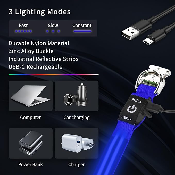 LED Dog Collar with Metal Buckle - USB Rechargeable Glow Collar for Dogs, Waterproof Light Up Dog
