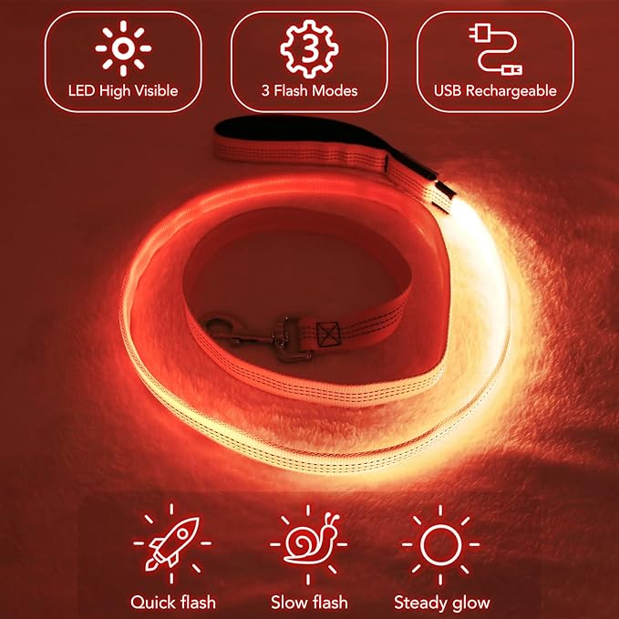 Colaseeme Light Up Dog Leash, LED Pet Leashes USB Rechargeable, Glow Safety Dogs Lights at Night