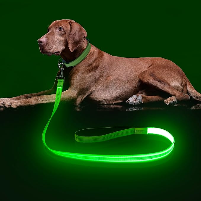 Colaseeme Light Up Dog Leash, LED Pet Leashes USB Rechargeable, Glow Safety Dogs Lights at Night