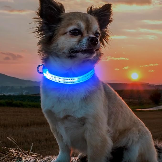 BSEEN Light Up Dog Collar, Rechargeable LED Dog Collar Reflective Glowing Pet Collar for Puppies &