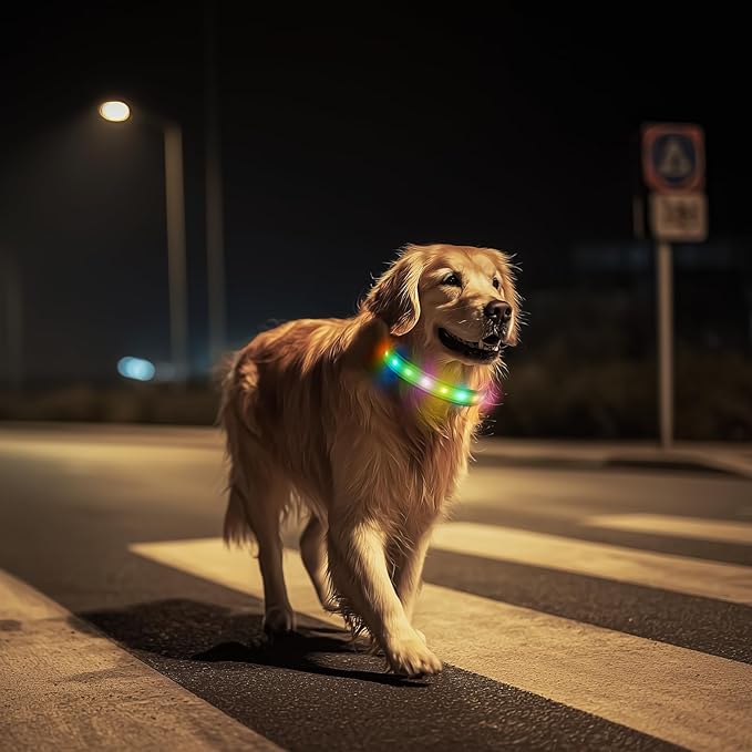 LED Dog Collar, Light Up Dog Collar, USB Rechargeable - Brightest Dog Lights for Night Walking, 6