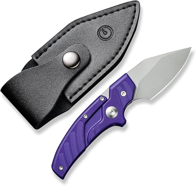 CIVIVI Typhoeus Fixed Blade Knife with Leather Sheath, 2.27" Swedish 14C28N Blade G10 Handle